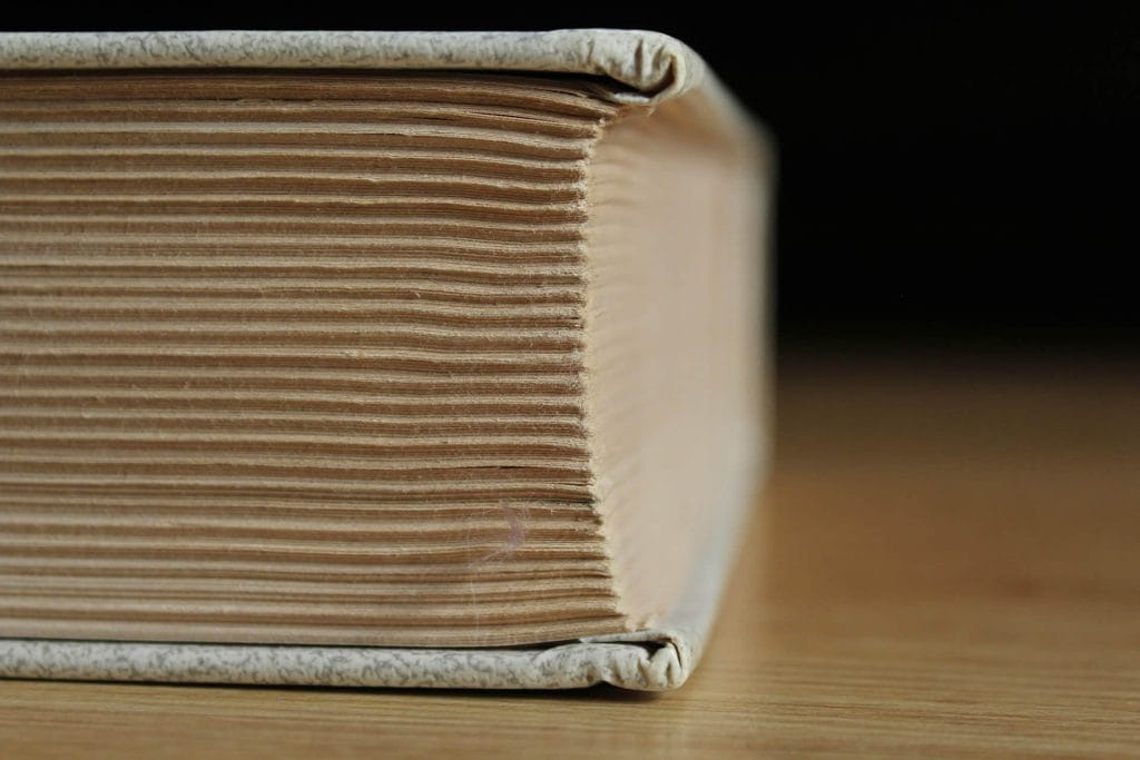 Close-up of the pages of a closed book.