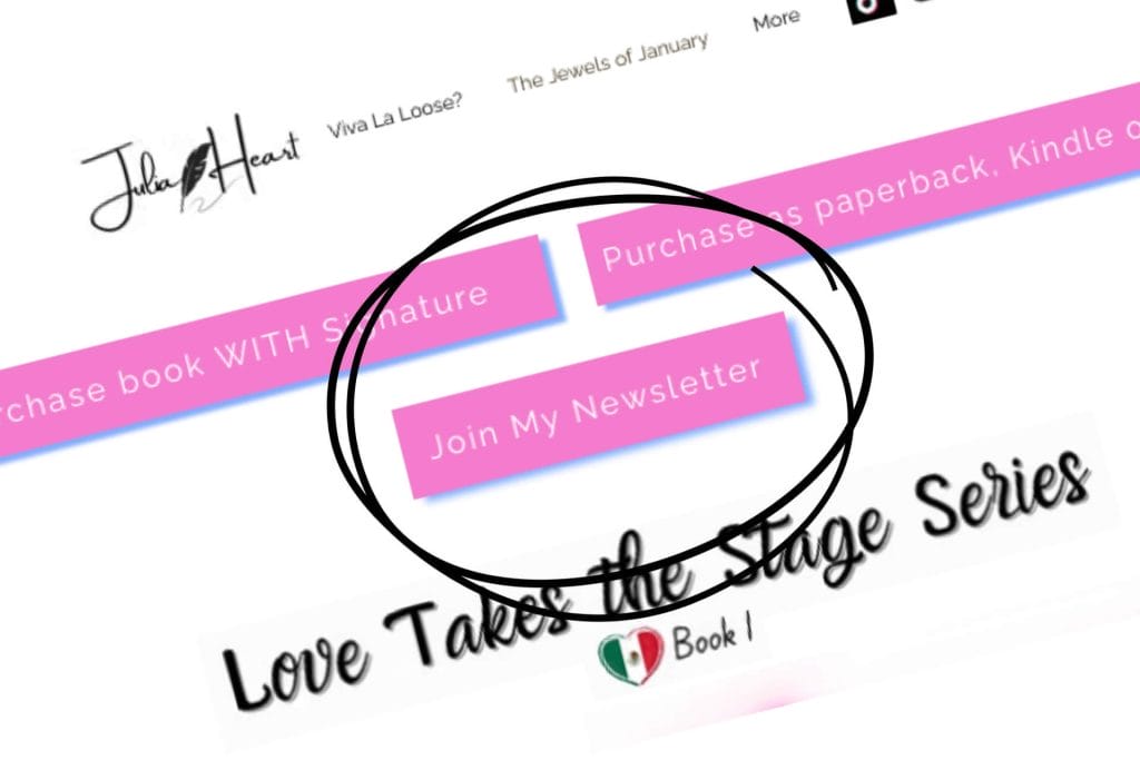 Website showing, "Subscribe to our newsletter" button.