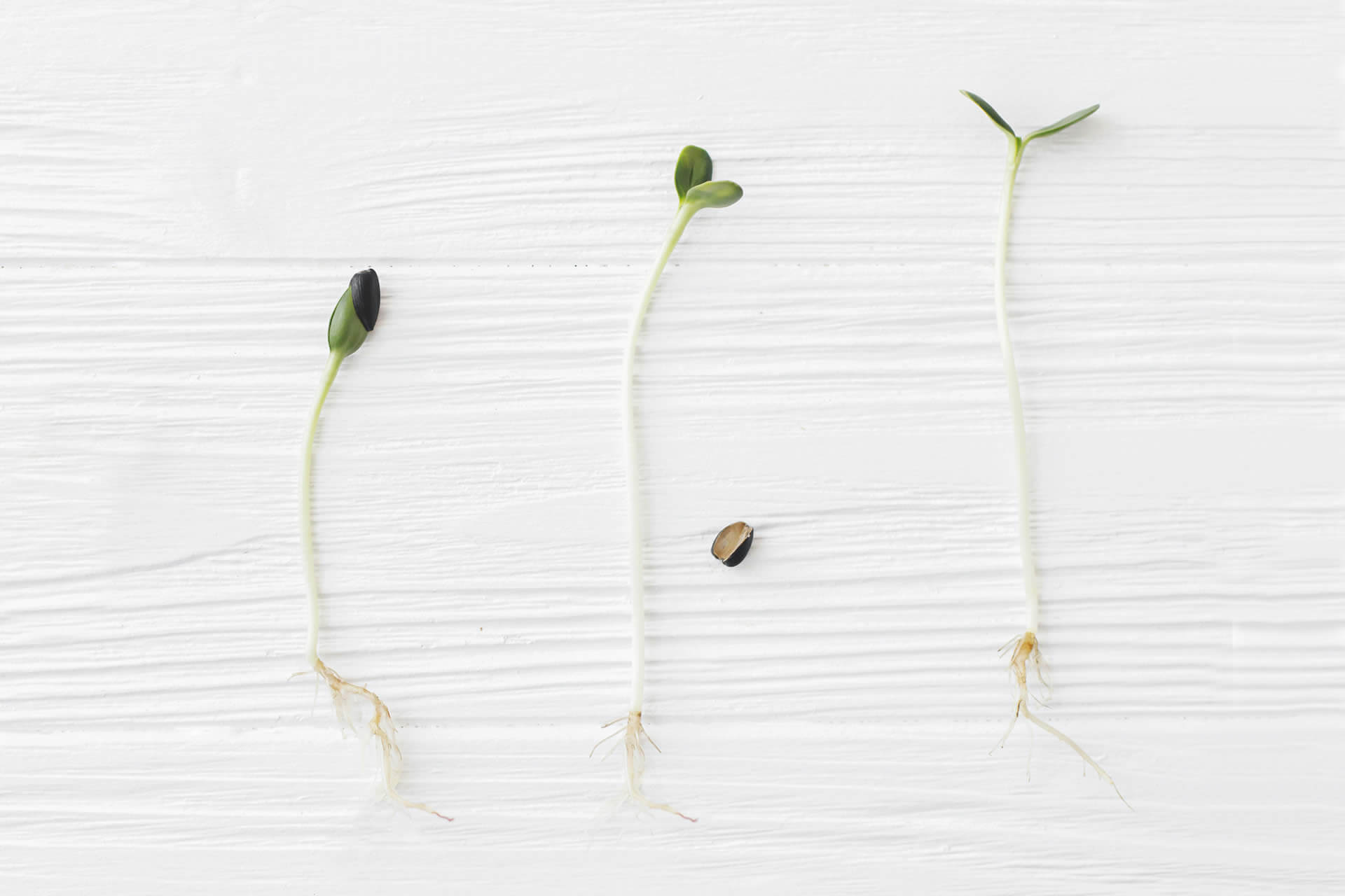 The 3 Stages of Editing